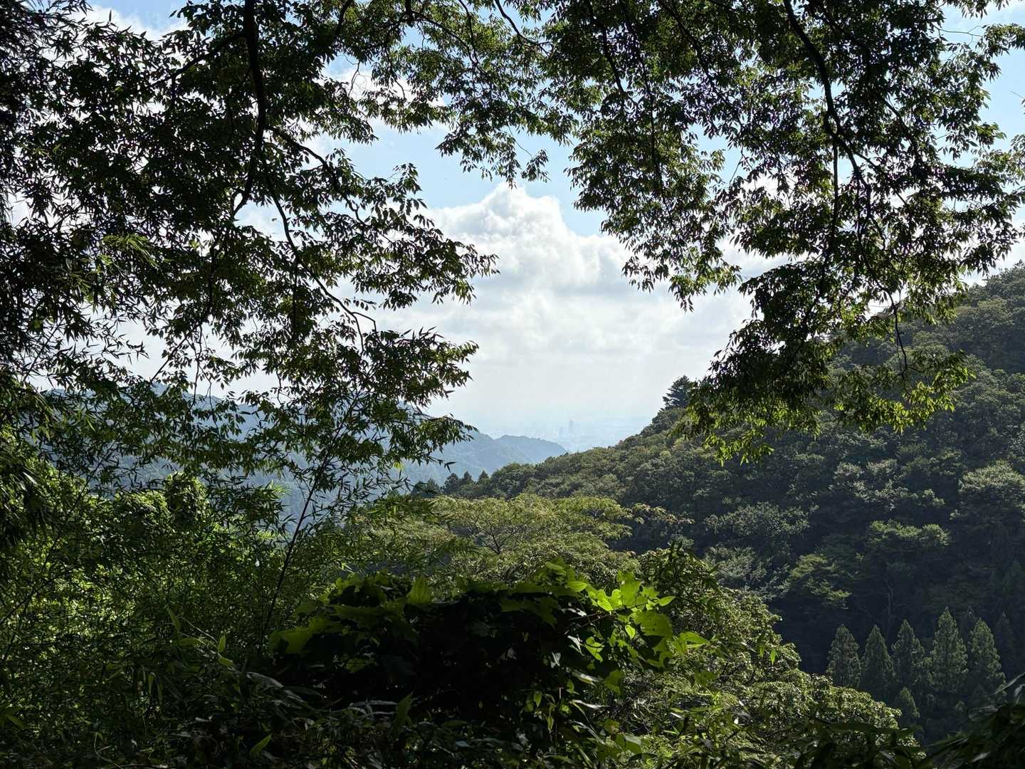 小仏峠で休憩。曇天だった前回よりは眺望は良い。