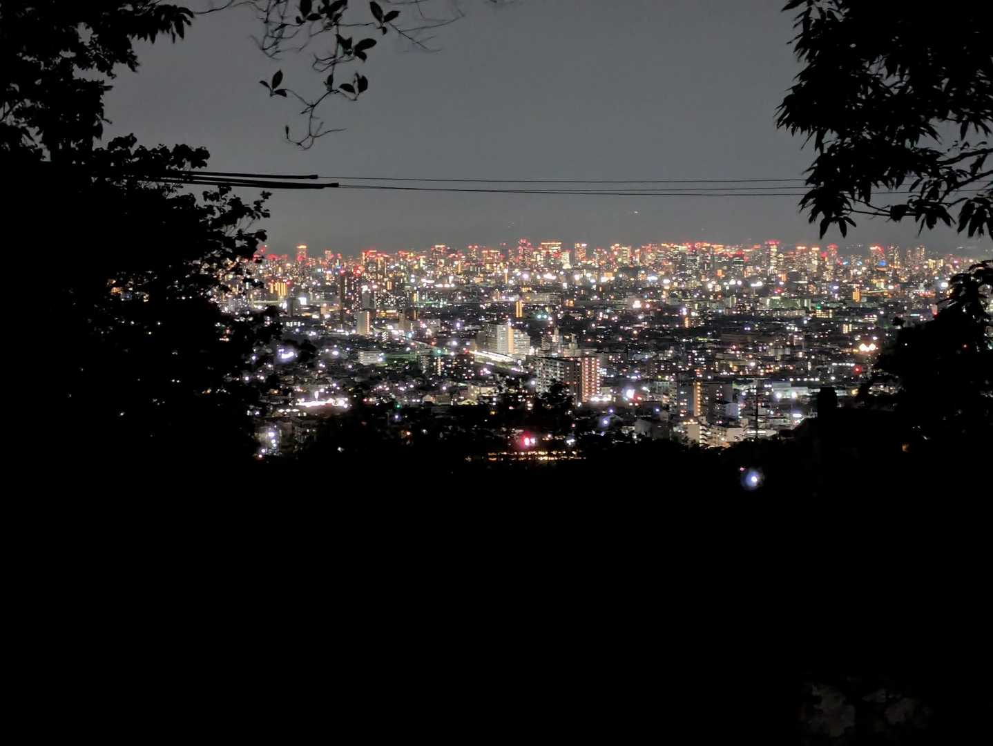 下山間際の好きな場所です🫲一瞬ひらけるところからの瓢箪山夜景🌃✨️が最高！