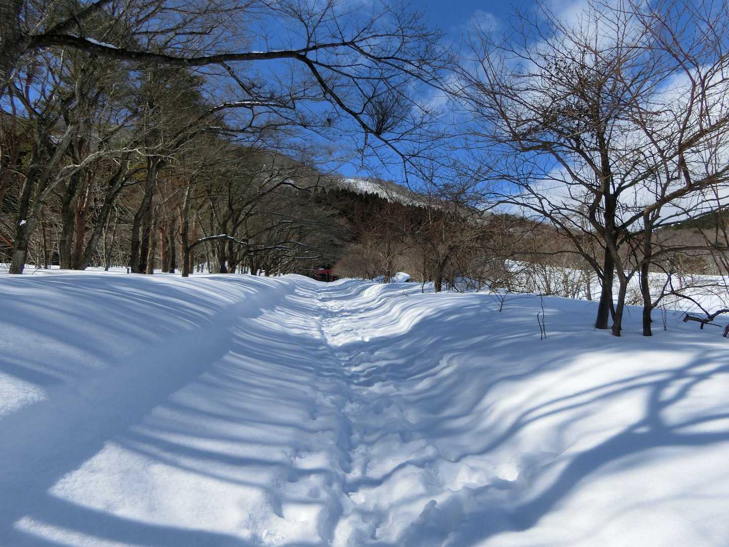 そんなに沈まないのでツボ足で。
スキー場は休みなのかリフトも動いておらず家族連れが一組雪遊びに来てるだけ。