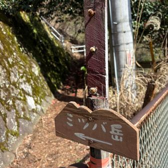 ミツバ岳登山口。標識が小さくて危うく通り過ぎそうになった。