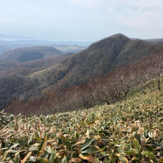 風もなく穏やか。
ですが、冷え性のヨシさんのおてては、手袋ありで、冷たくて感覚なし。
私もハレさんも素手でポカポカなのに、、、。
冬が始まりますねぇ。
