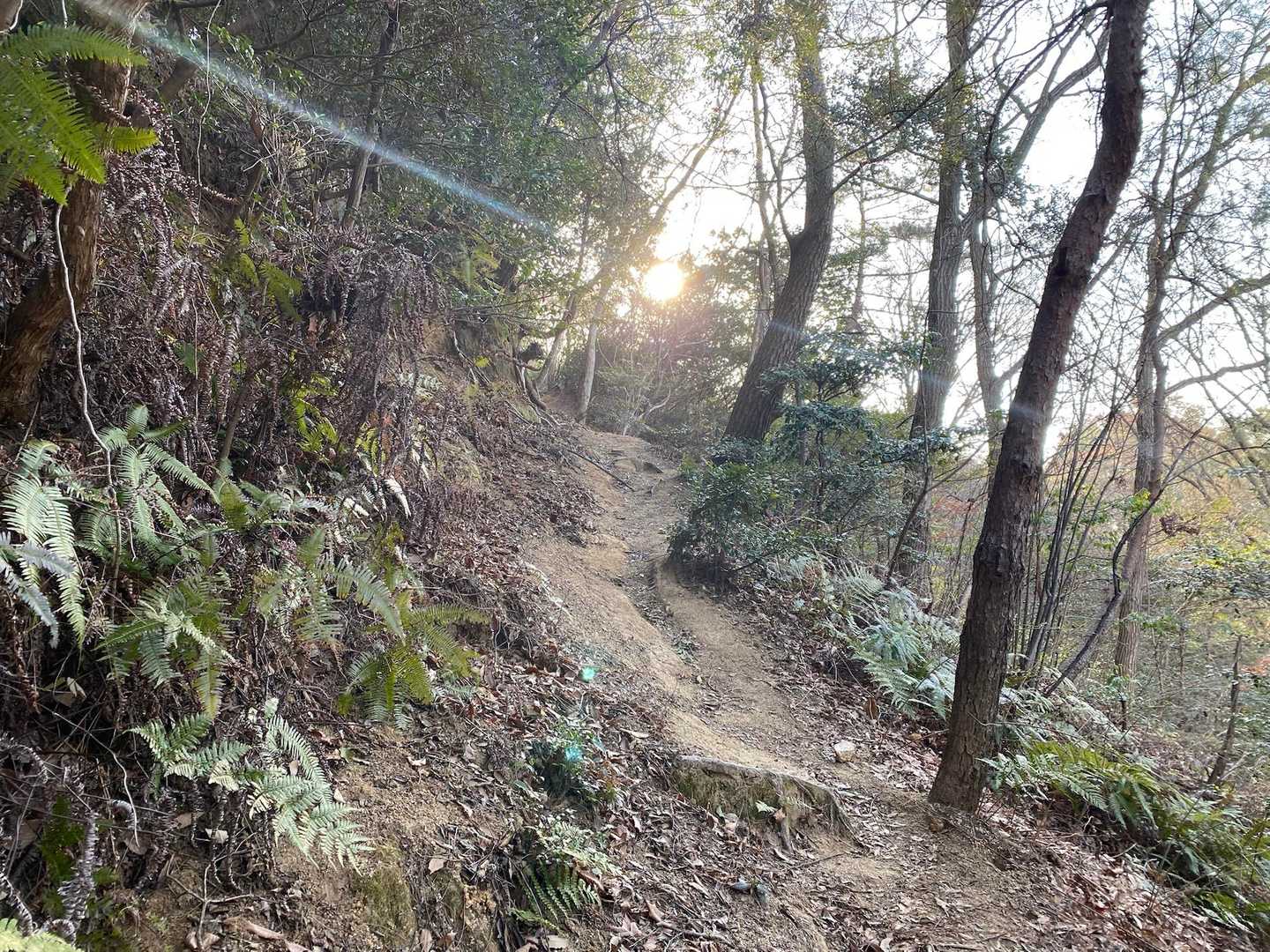 次は加古山へ向かいます⛰️