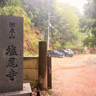 登山道はここまで