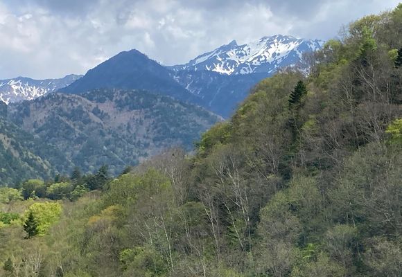 やまちゃん やまちゃん65｜長野県の登山記録 | YAMAP / ヤマップ