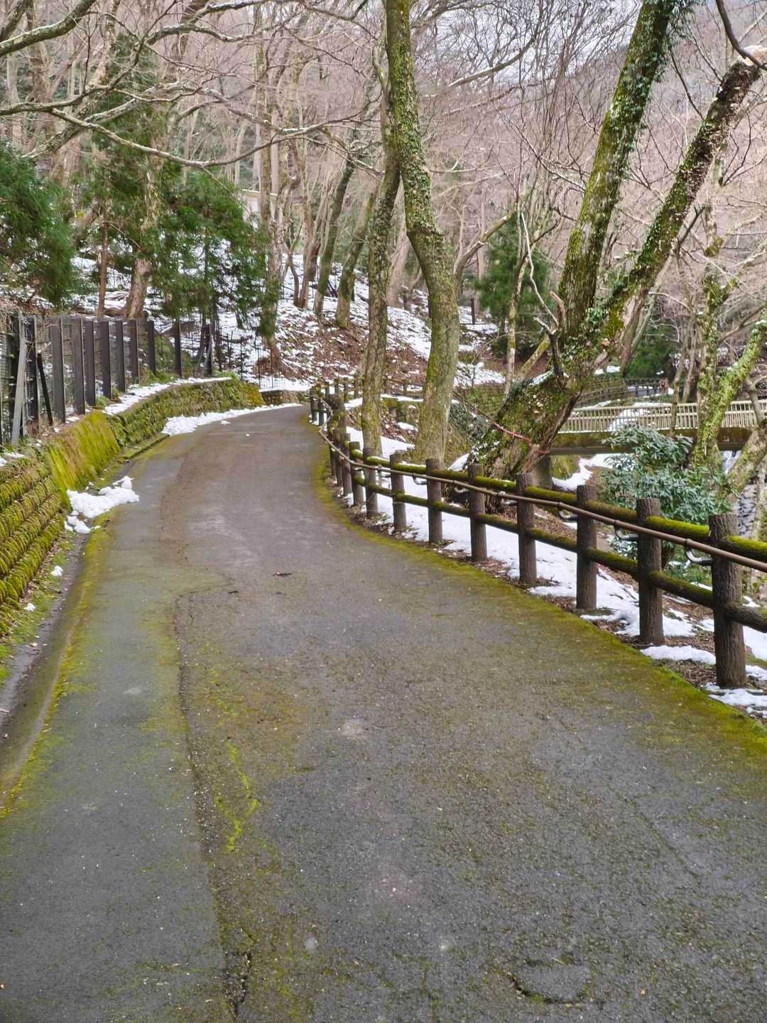 滝へ向かいます