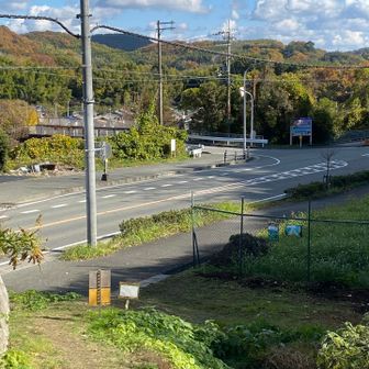 この国道250号線が交通量多く
横断お気を付けて⚠️🏎️