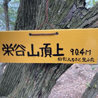 展望ほとんどなし