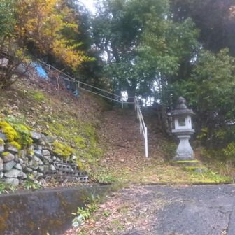 登り口 発見☝️