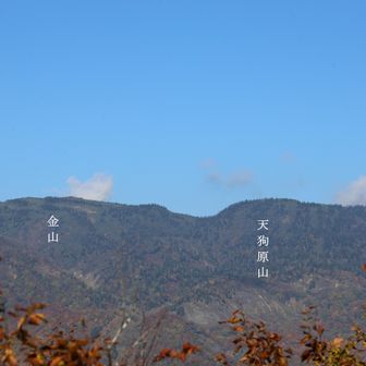 右から天狗原山、金山