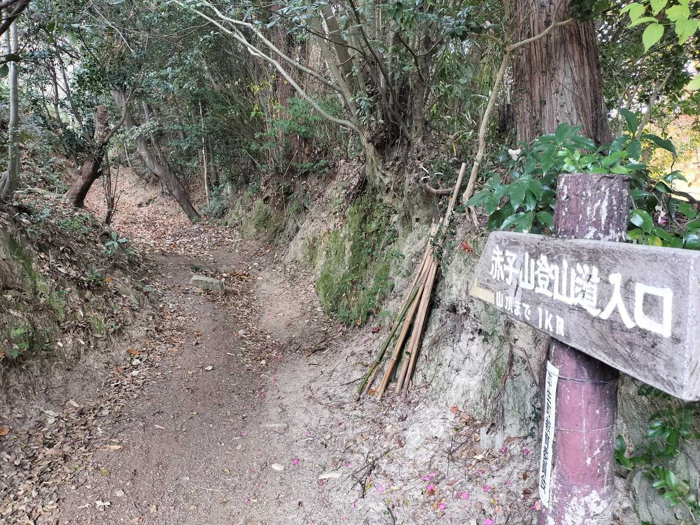 山頂までは約1kmの登り