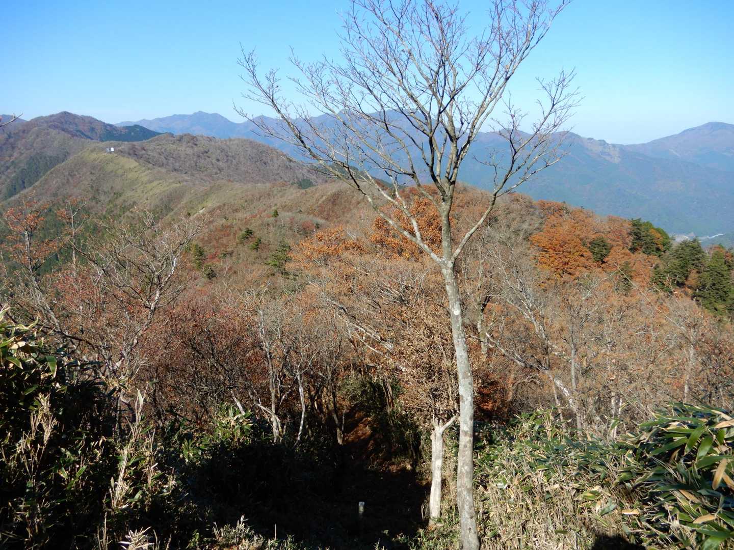 野地峰-黒岩山 往復コースの写真