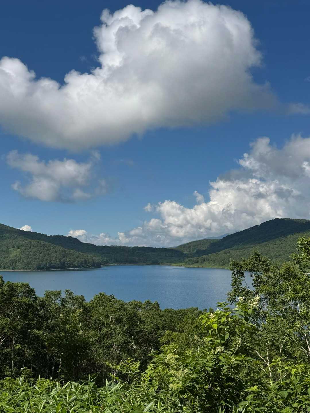 八間山登山口-八間山登山口-白砂山登山口-野反ダム-野反湖 周回コースの写真