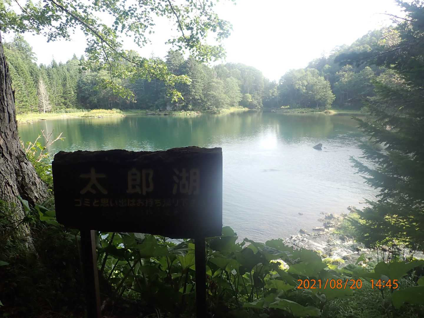 雄阿寒岳 登山コースの写真