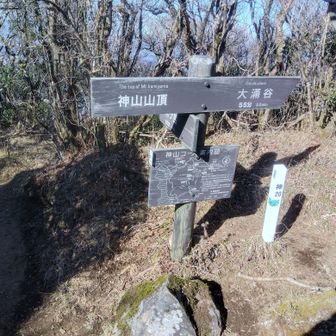 神山山頂は木々で眺望なし