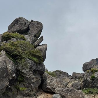 　　カエル🐸岩と不忘の脾