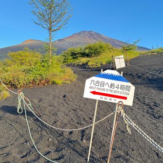 長すぎでしょ🤣