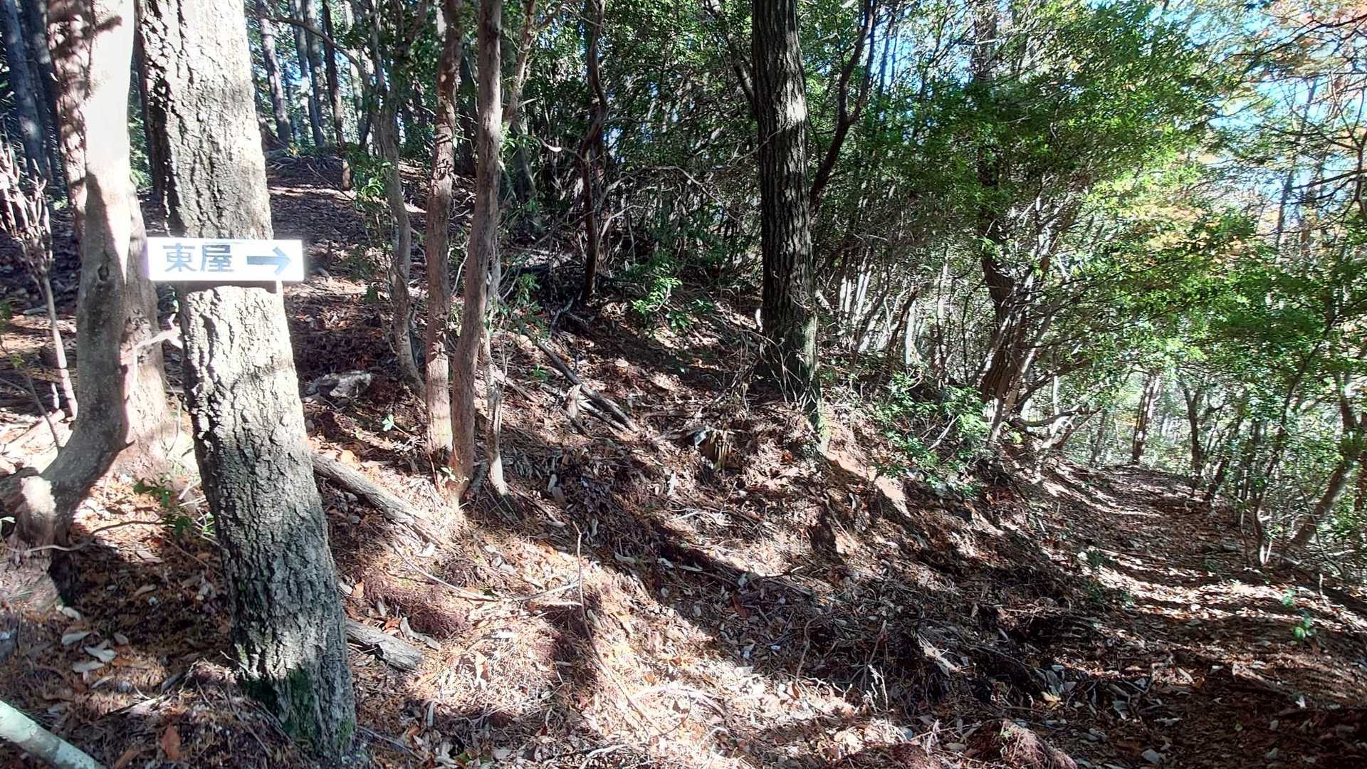 尾根道を途中まで引き返して､ この分岐から(東屋の表示有り)下方向へ下ります｡