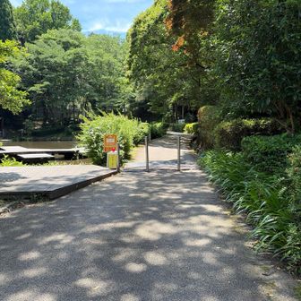 焼米ヶ原に戻る