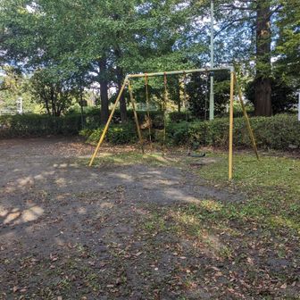 ブランコ休憩　ブランコは気持ちいい

お試しでしゃがでみたら右太腿前外側突っ張って痛い

歩くのにはなんともないんだけど
