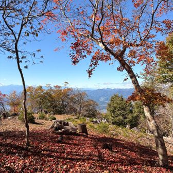 山頂の開ける様子が見え、赤い落葉🍂も綺麗