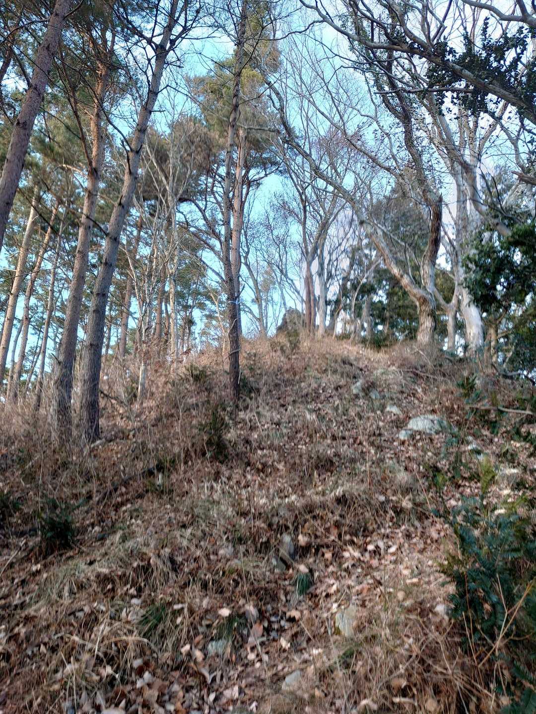 御幸山最後の急登💦