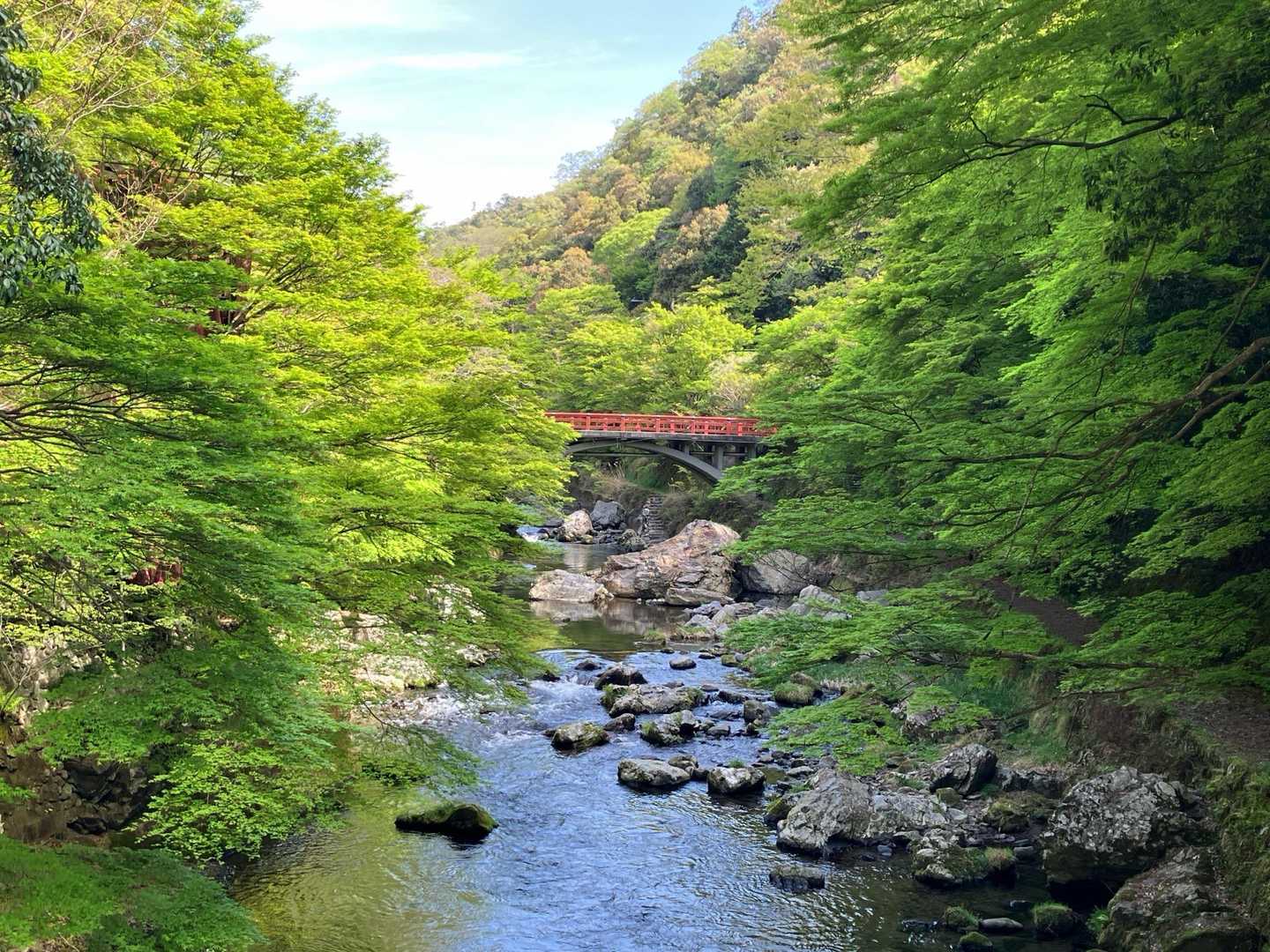 栂ノ尾バス停-白雲橋-福ヶ谷林道登山口-槙ノ尾バス停-愛宕 縦走コースの写真