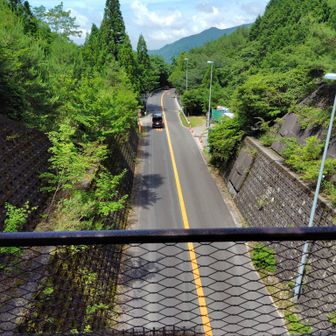 トンネルの上から、なんか新鮮✨️。バイク、自転車、車が多かった。