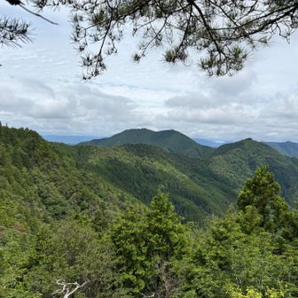 振り返ると丹波分水界の径の山々。愛宕山、鷹取山、小野寺山、五台山と縦走路は続く。