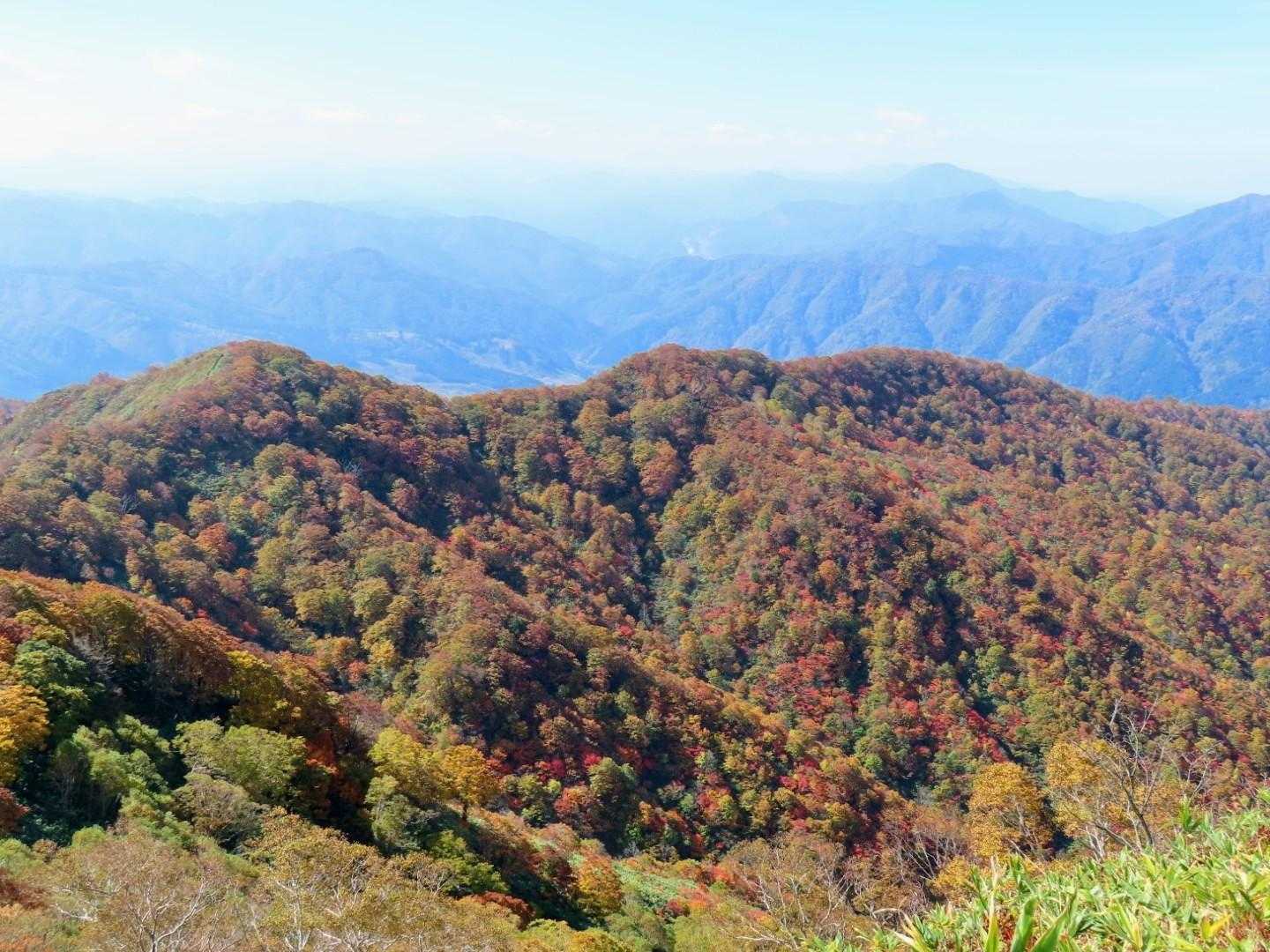 桧峠-大日ヶ岳登山道入口-水後山-鎌ヶ峰-大日ヶ岳 往復コースの写真
