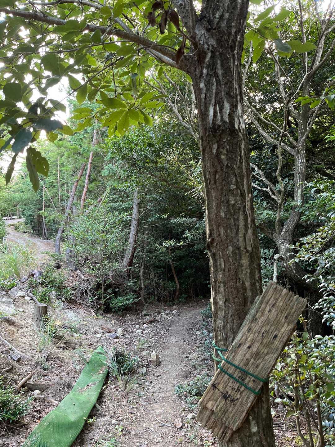 うっすら展望台って書いてある👀
こっちね↖️