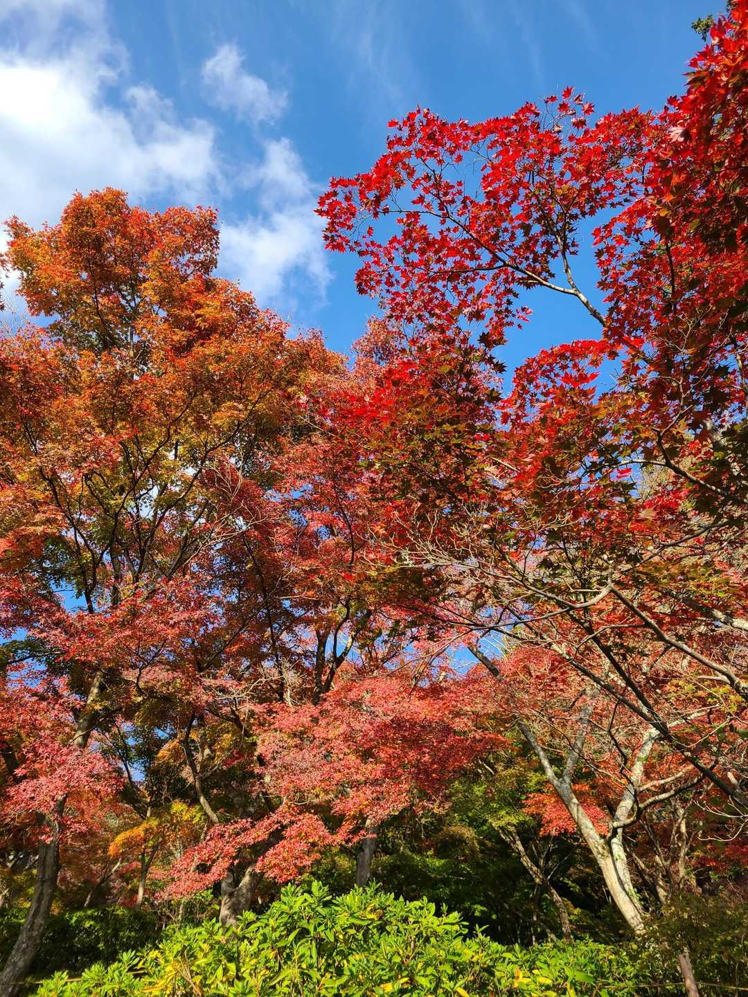 筑波山神社入口バス停-御神橋-筑波山-筑波山-白雲橋コース 縦走コースの写真