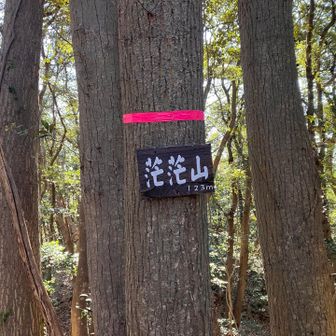 茫茫山に登れて嬉しい