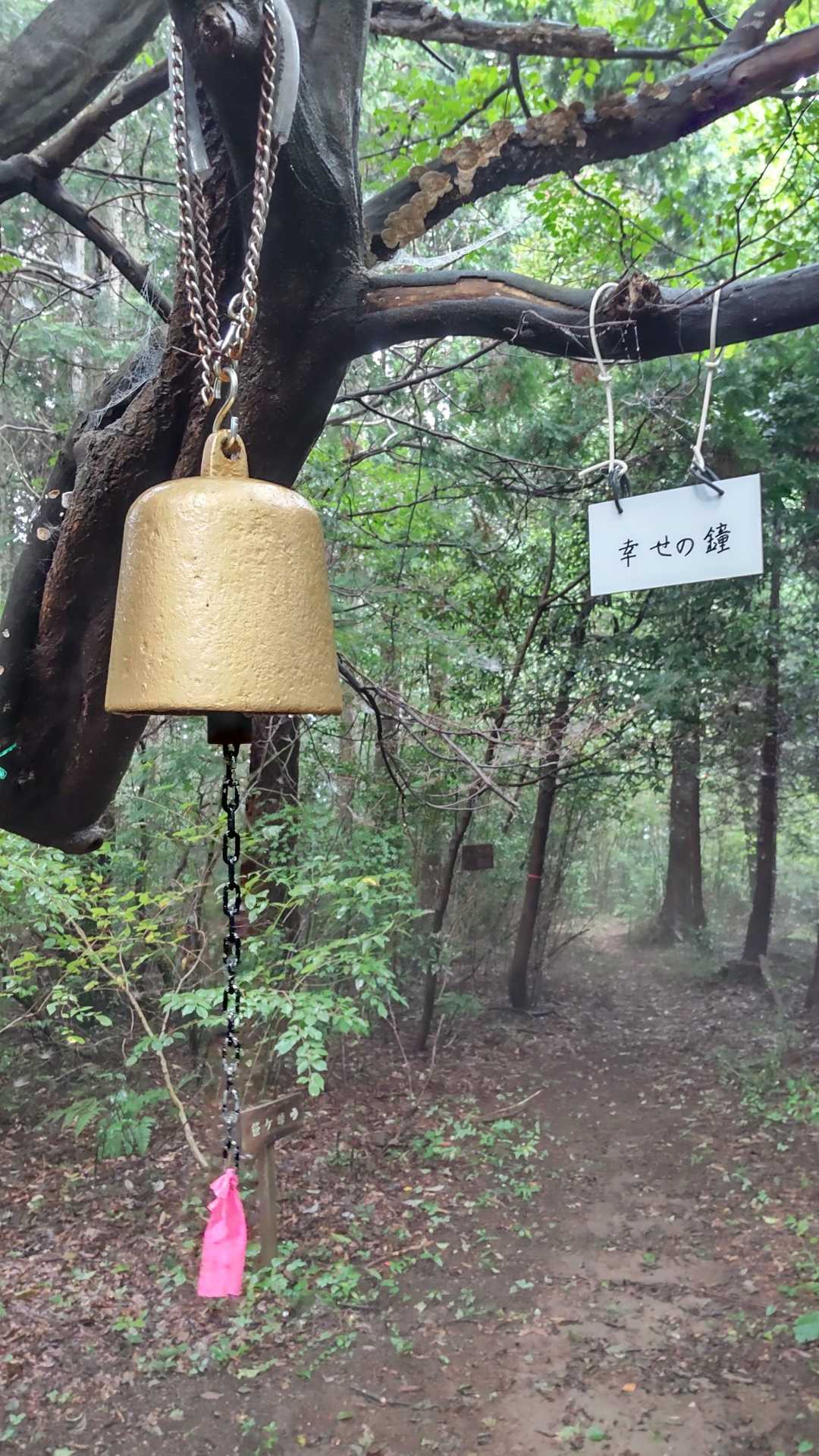 到着しました