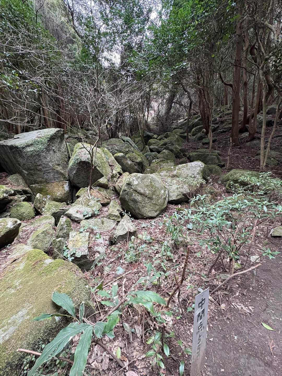 城山 周回コースの写真