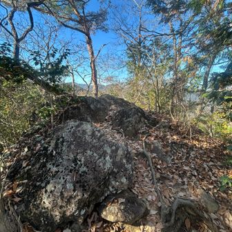 お会いした素敵な老夫婦の方に
天狗岩のちょっと先に
休憩できる所があり、
それは素晴らしい景色よ、と教えてもらった。
ありがとうございます😊