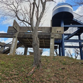 衣笠山山頂（134m）