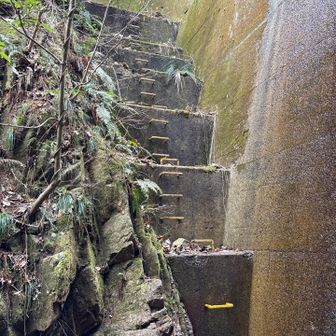 六甲山・長峰山・摩耶山 ホッチキス堰堤①
⬅️に上り口