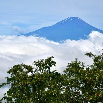 雲海に浮かぶ富士山🗻
絶景でした。