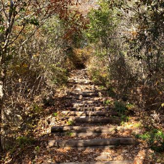 今日最後の登り