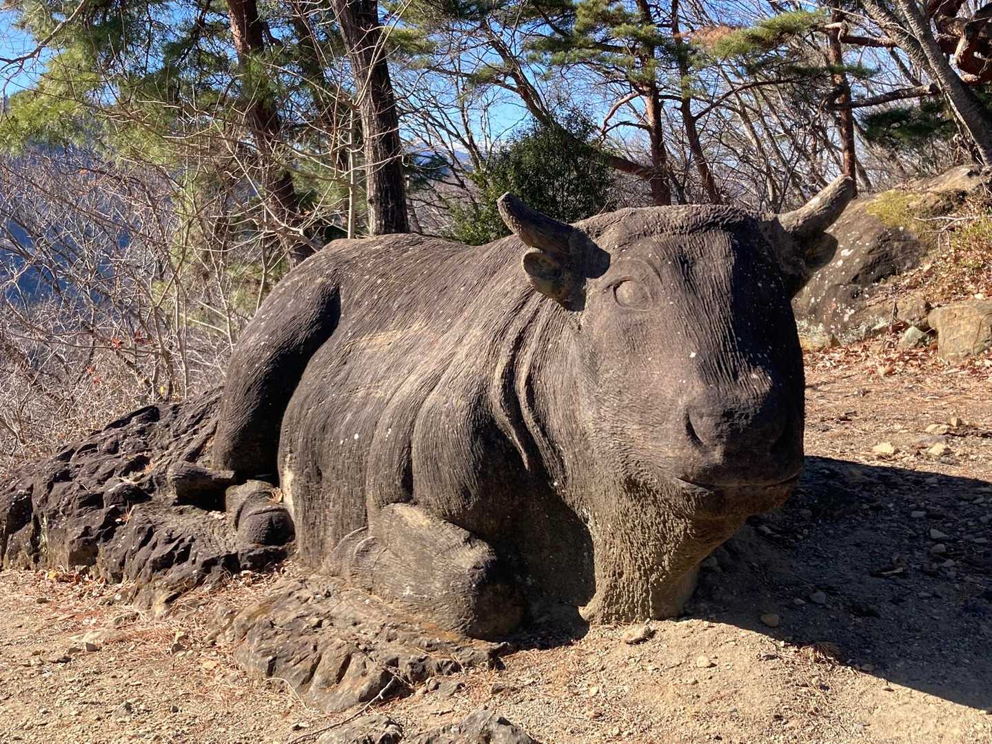 いつも動じず穏やかな頼もしい牡牛様