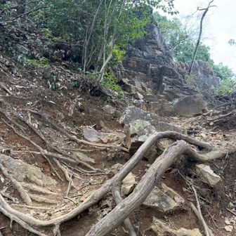 日和田山