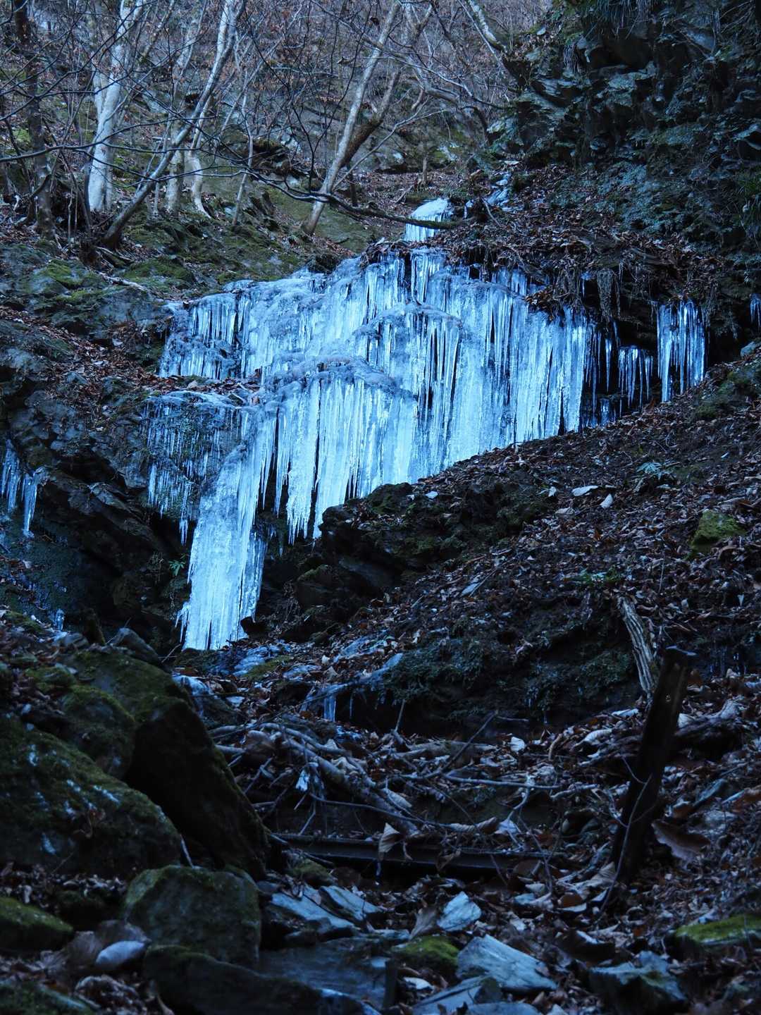 大輪バス停-三峯神社 周回コースの写真