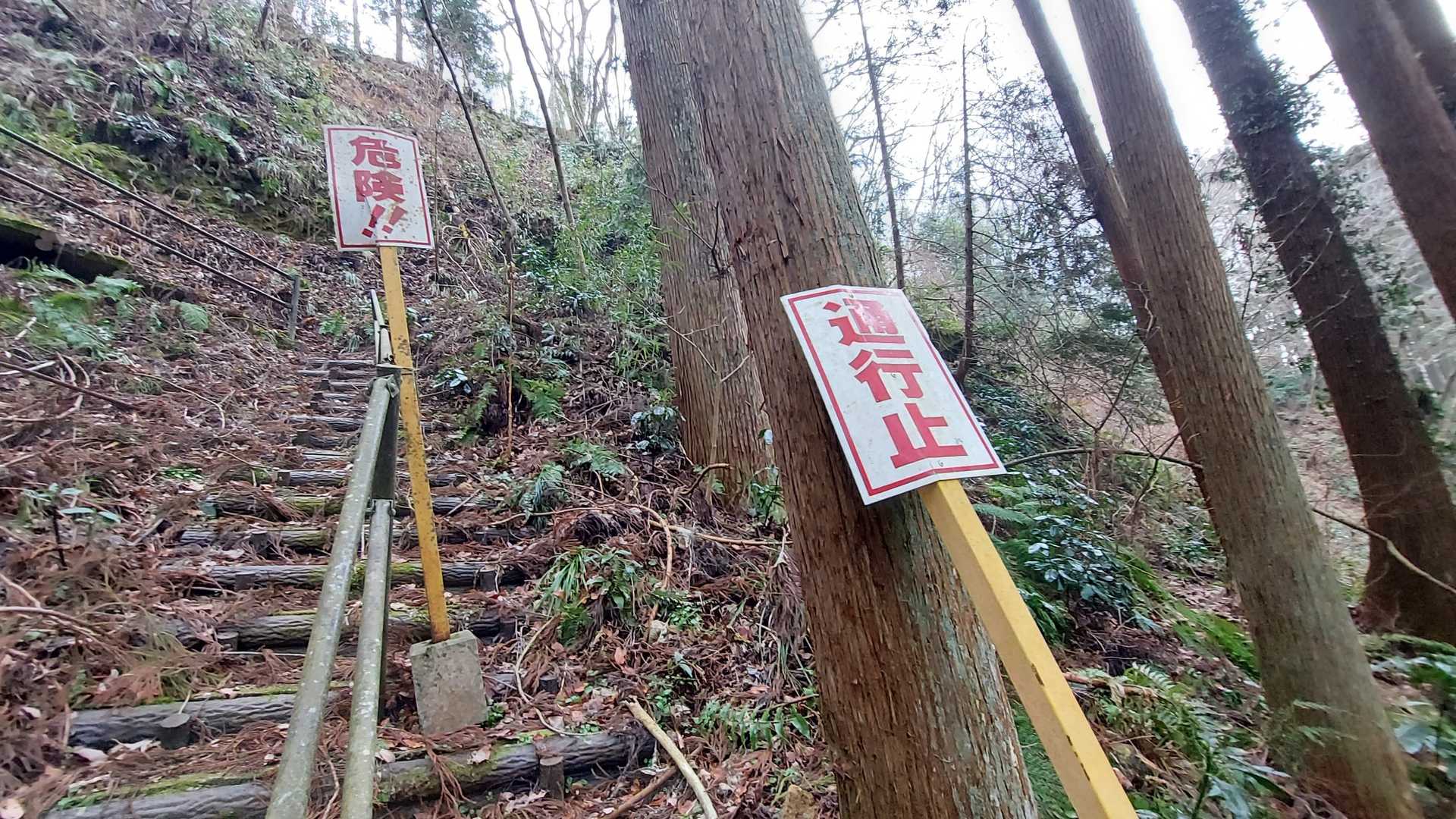 この上に三角点ありそうだけど通行止みたいなので断念🙈