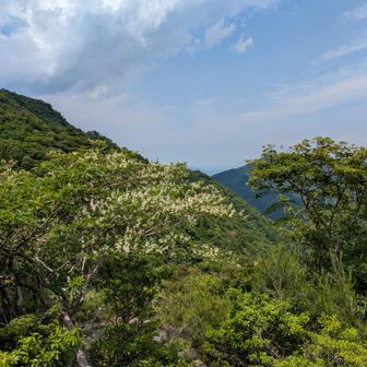 下山も気を引き締めて行こう