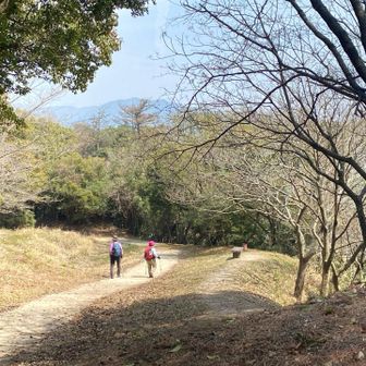 穏やかに歩く。