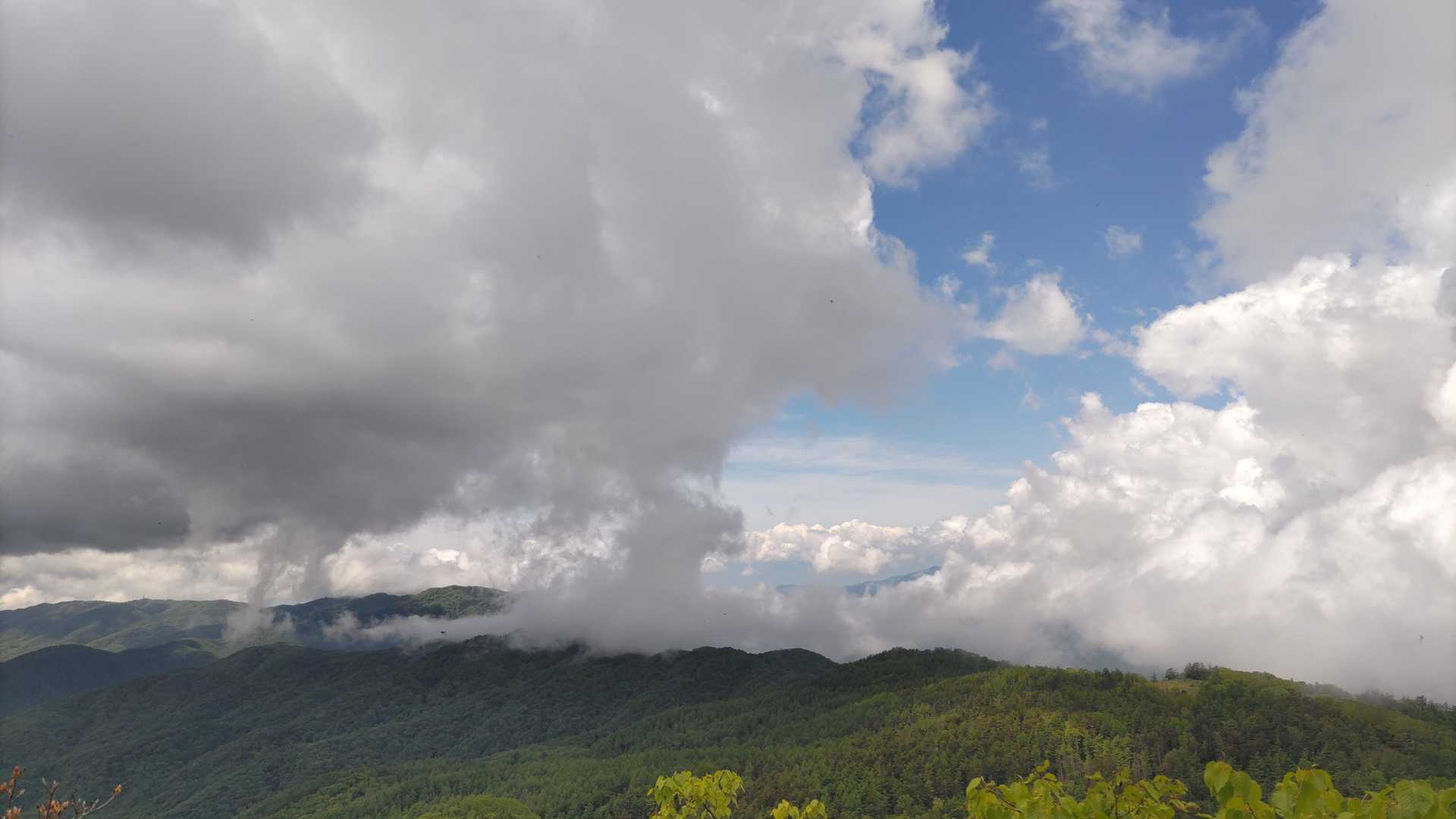 ヤブ沢峠-笠取山 周回コースの写真