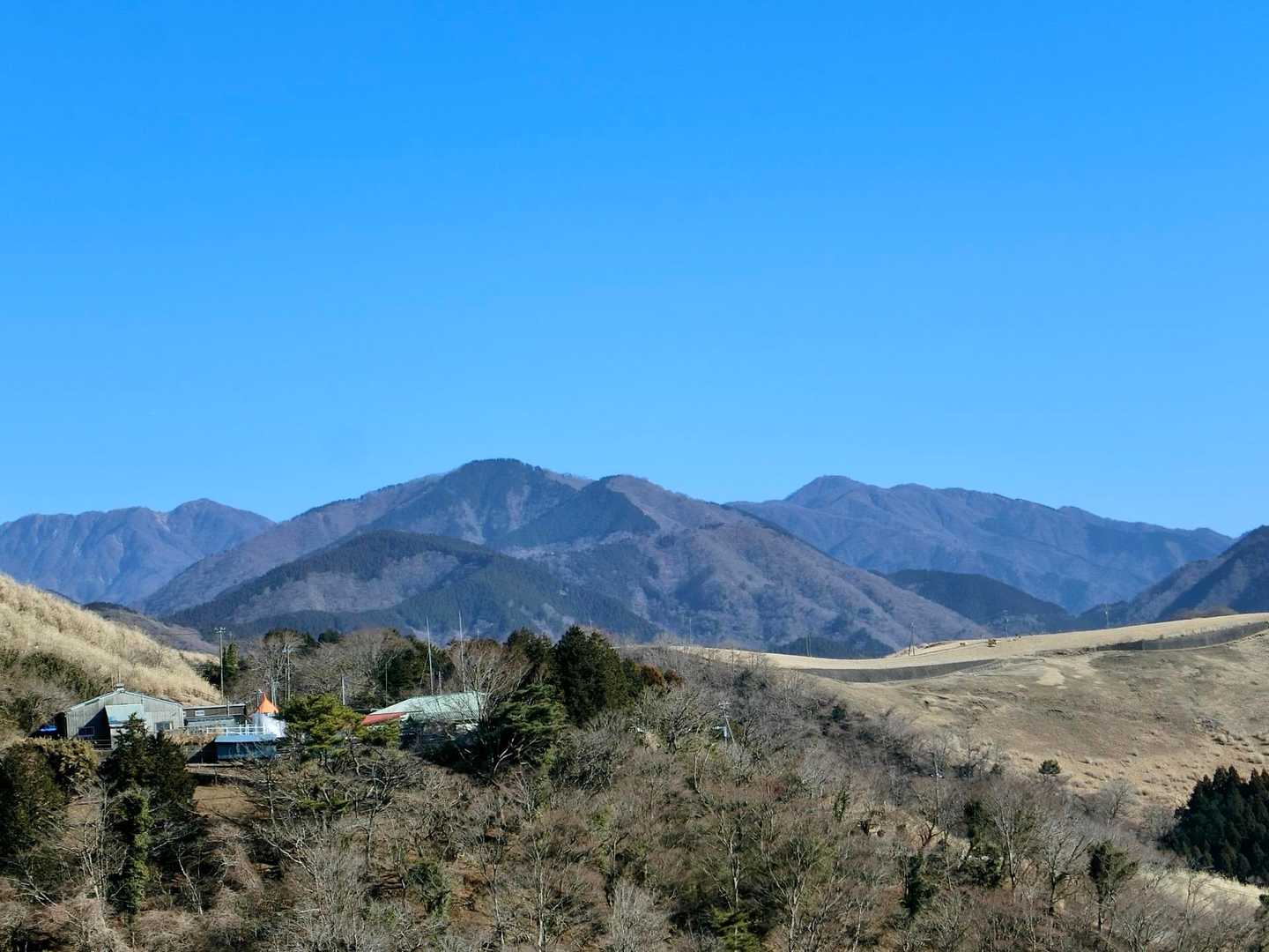 牧場越しに丹沢の山々