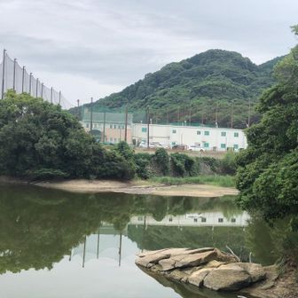 9月以降池の水がどんどん減っていて、水不足になるかと心配です🧐