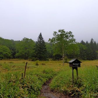 気温は+12℃
曇天
いや霧雨
ってか小雨
微風
先着車5台
しかも逆方向駐車
欧米かよ！？

📝備忘録
トップは
半袖のドライレイヤー+WIC.Tシャツ
ライトシェルを着用
レインウェアは
自宅に置いてきてしまった💦

ボトムは
モンベルガイドパンツライト

足はTopo Athletic TERRAVENTURE 3

頭は
ランニングキャップ

500mℓPB1本とおやつと380mℓPBのコーヒーを
PAAGO WORKSのRUSH10に忍ばせて

羆対策はスプレーと熊鈴を二つとホイッスル
食料はジップロックに入れて
匂いの拡散を防ぎます

行ってきます🖖
