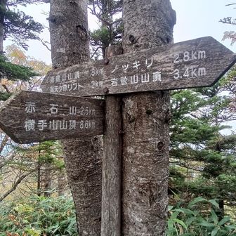 東館山へ